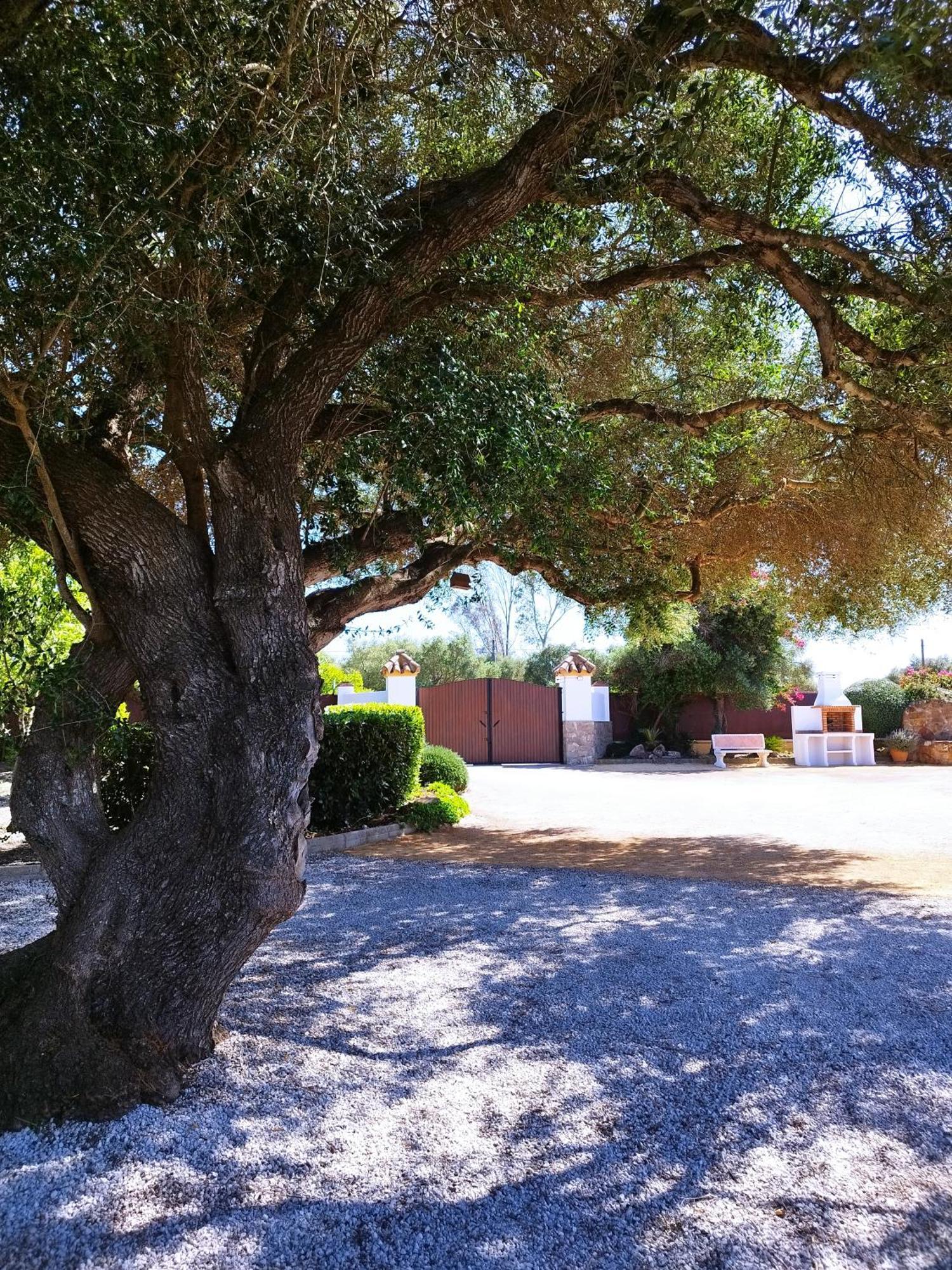 Vivienda Rural Los Madronos Malcocinado  Exterior photo