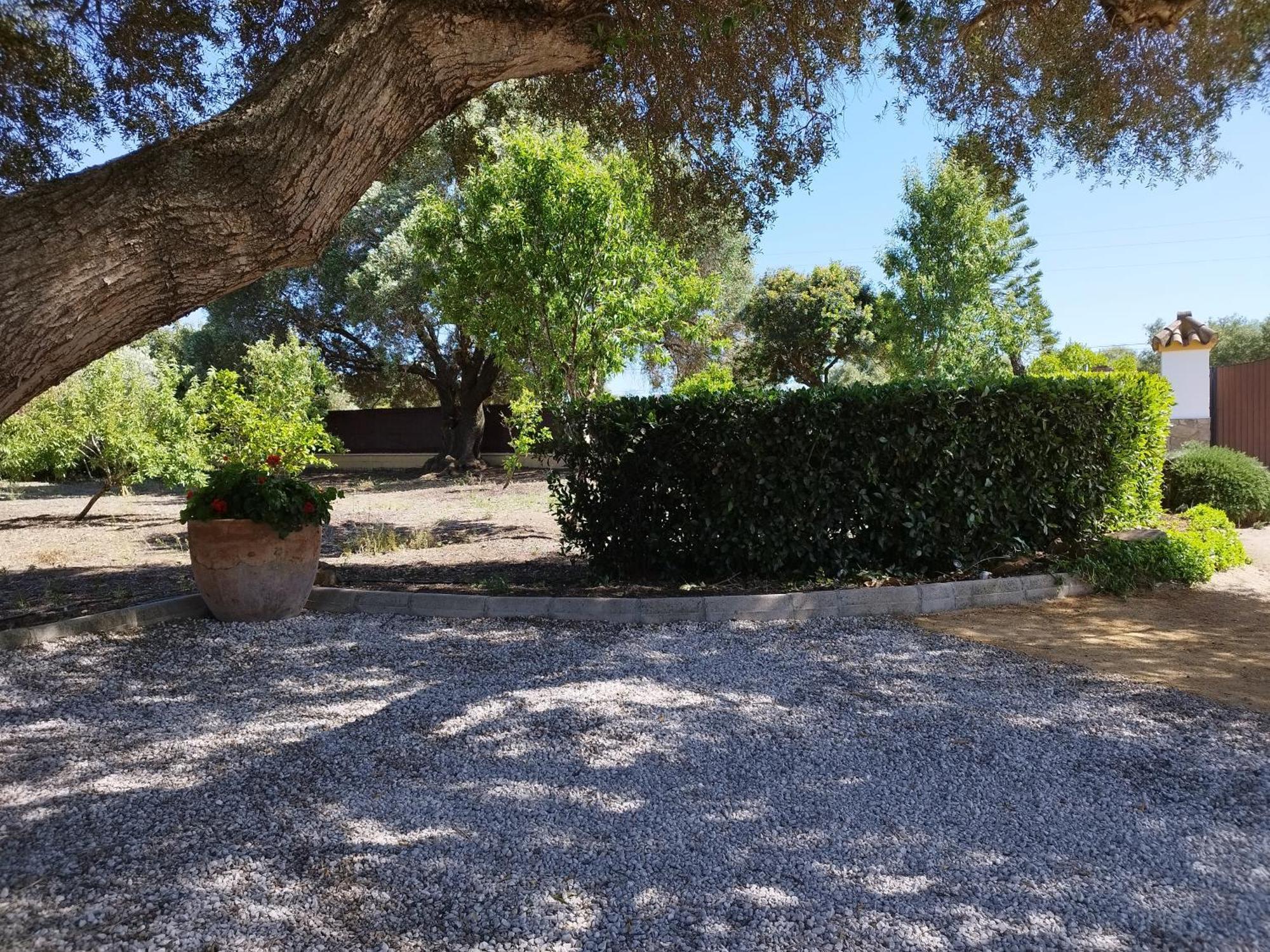 Vivienda Rural Los Madronos Malcocinado  Exterior photo